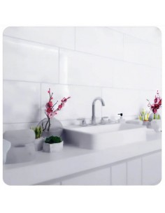 Ceramica Eliane Forma...