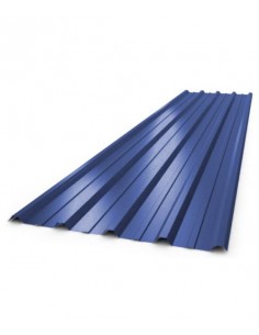 Chapa T-101 Azul Milenium...